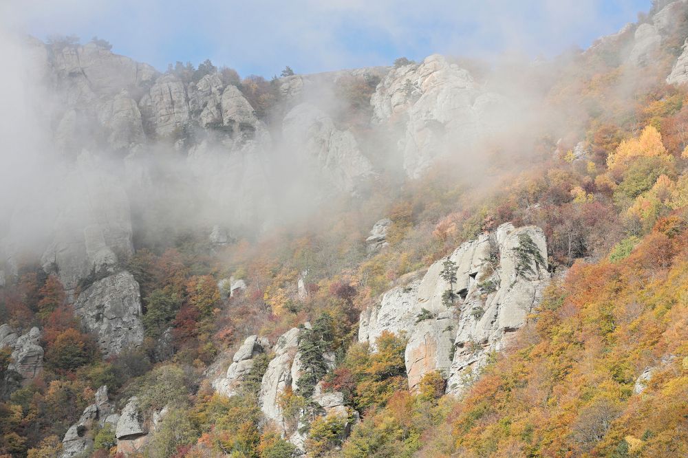 Фотография автора Алексей Попов
