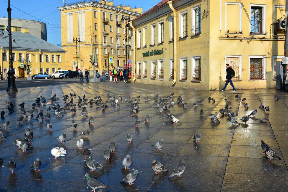 Photograph by Анатолий Орлов