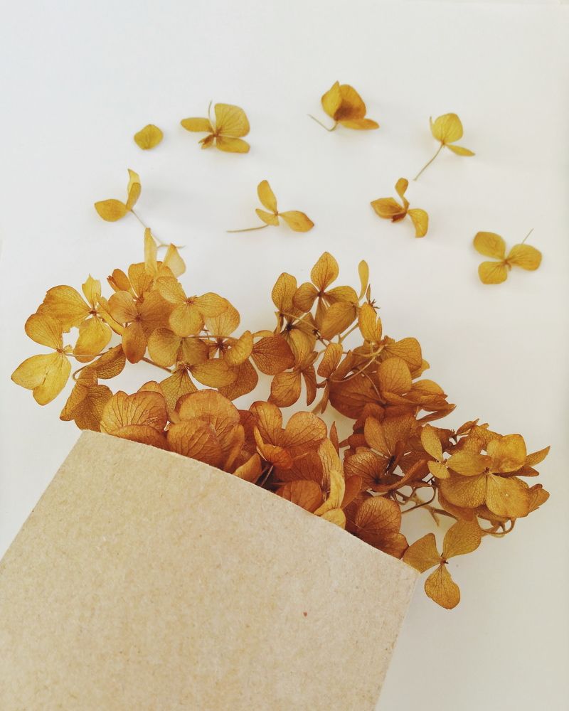 Photograph by Elena Lopatina