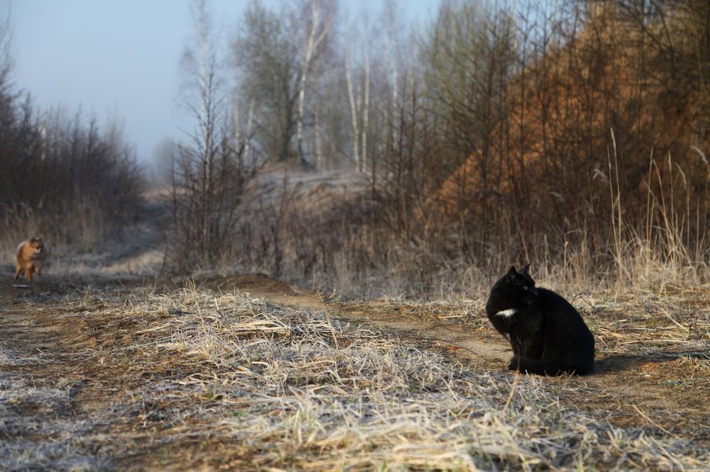 Фотография автора Алиса Чурчудесная