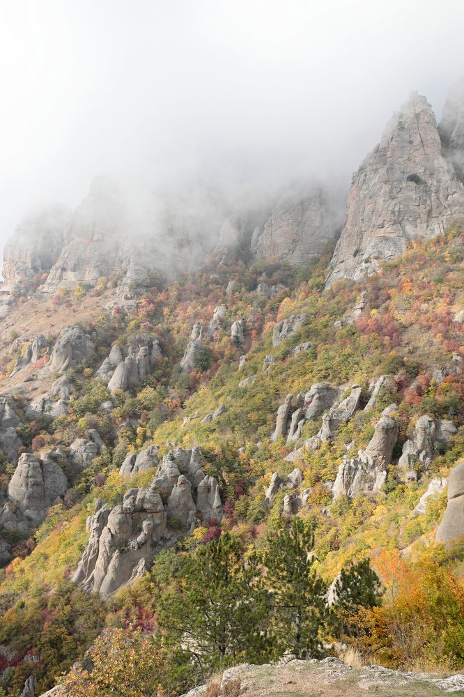Фотография автора Алексей Попов