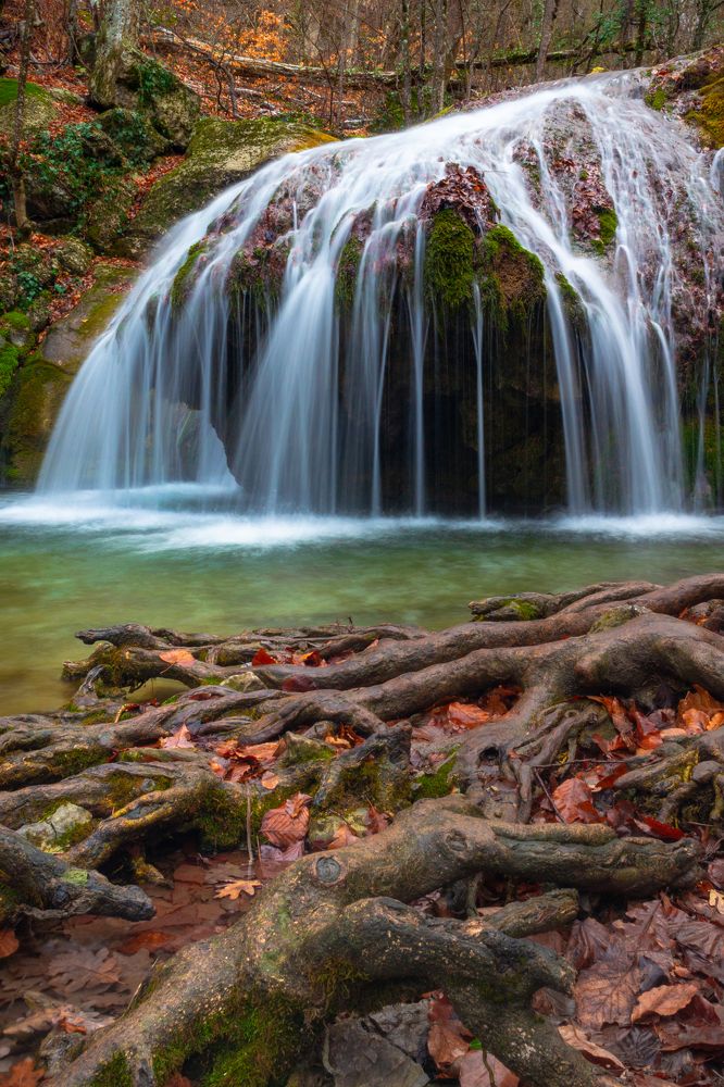 Photograph by Ирина Крепак