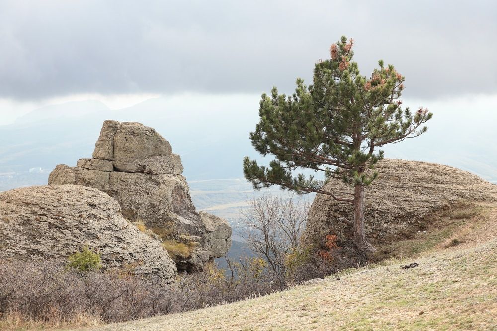 Фотография автора Алексей Попов
