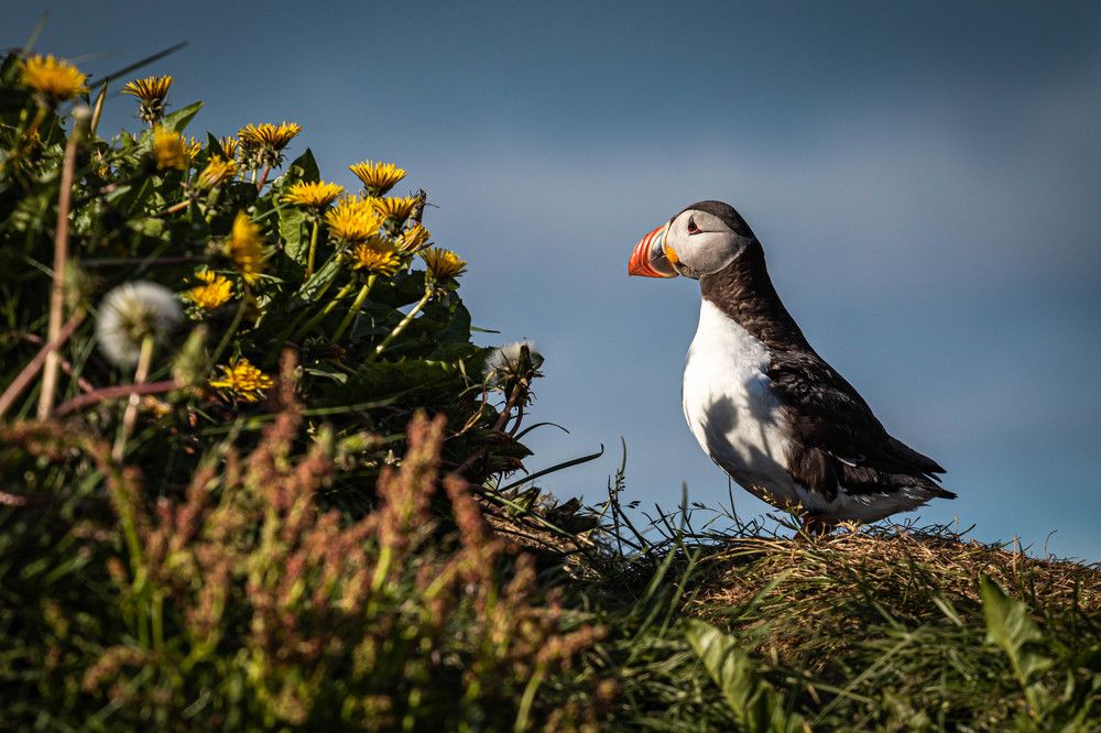 Photograph by Анна Широкова