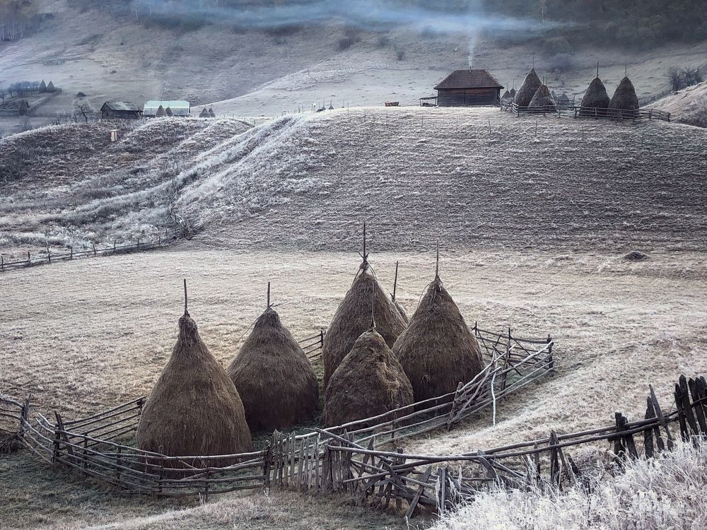 Фотография автора Татьяна Бурлакина