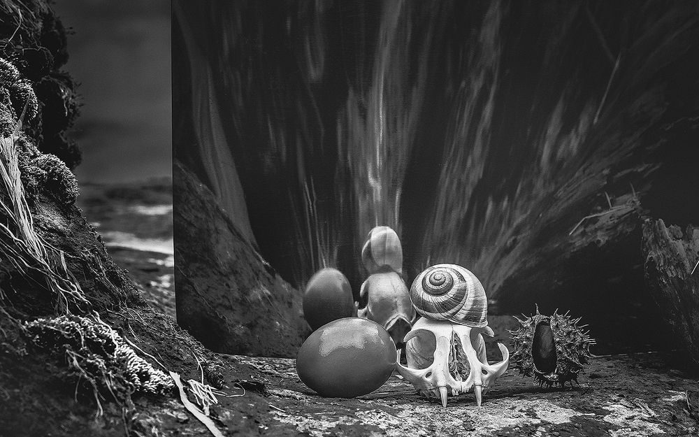 #Зачем? Из серии: Конец?