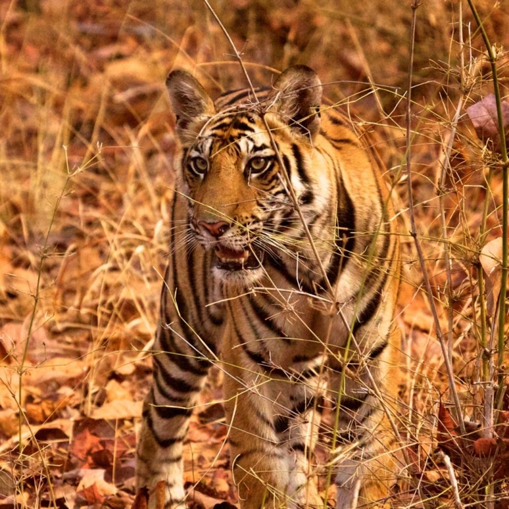 Photograph by ahsan ishtiaq