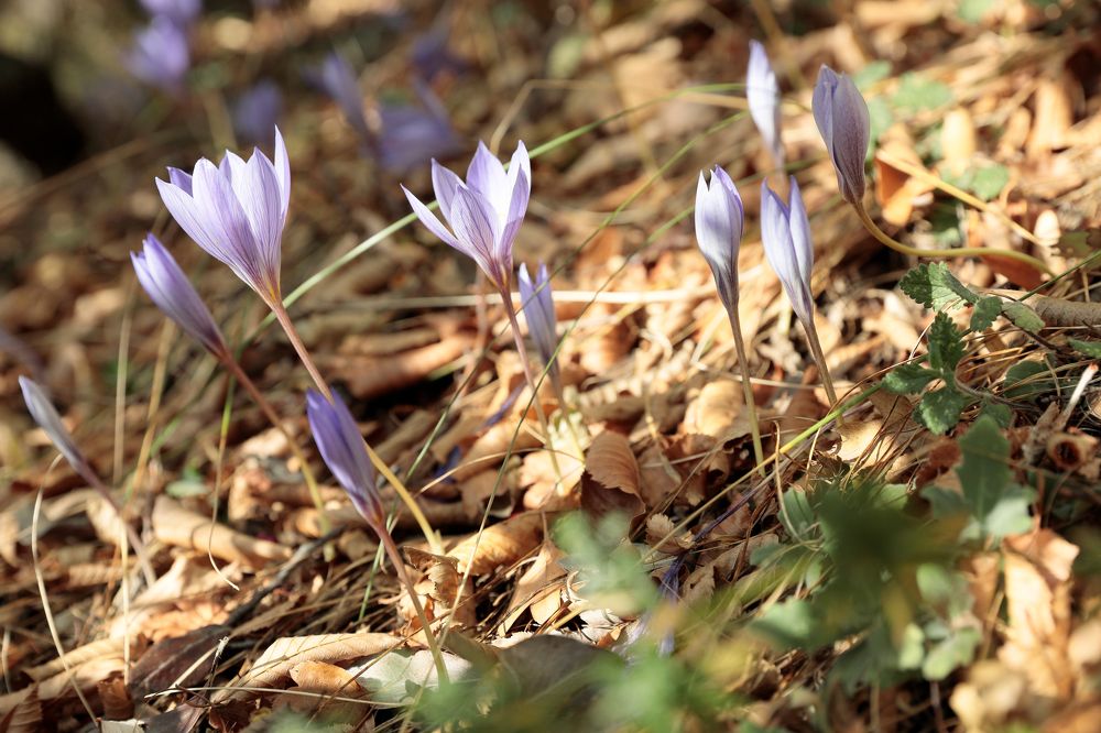 Фотография автора Алексей Попов