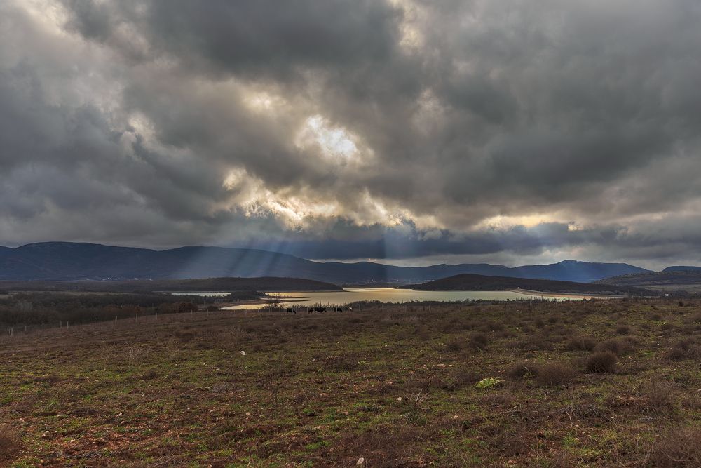 Photograph by Владимир Лысов