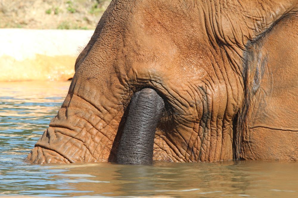 Photograph by Senthil Venugopalan