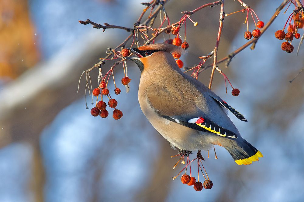 Photograph by Вячеслав Заметня