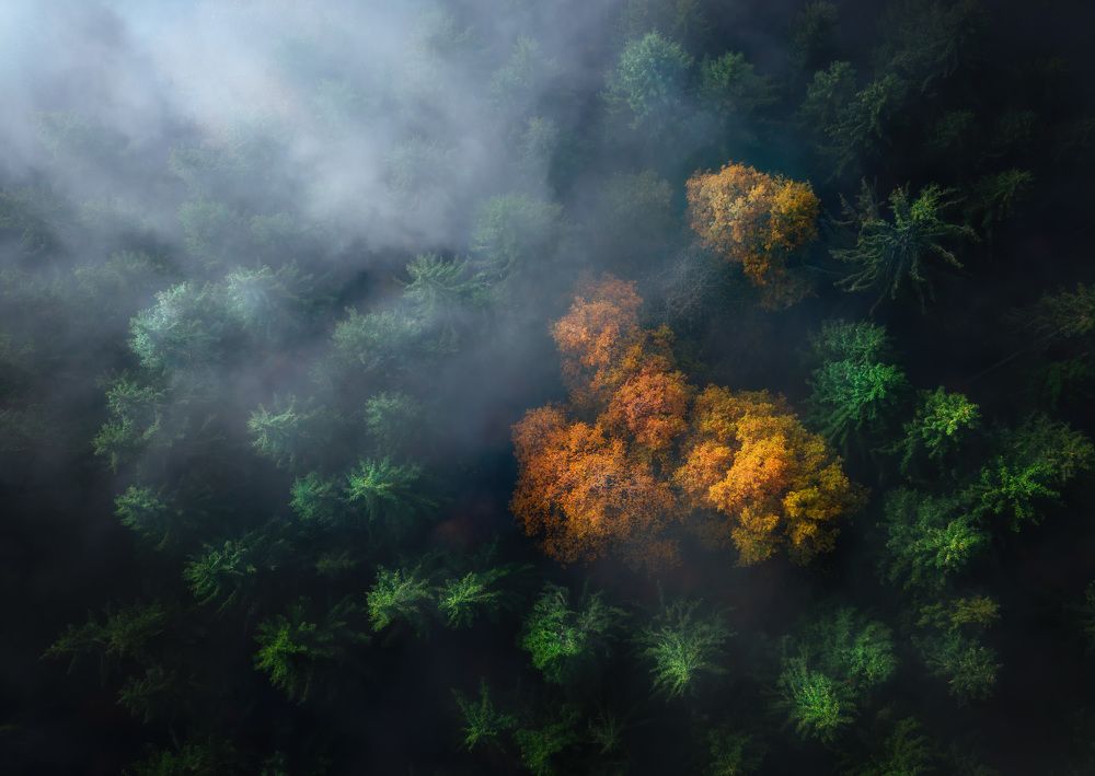 Фотография автора Emelyanov Alex