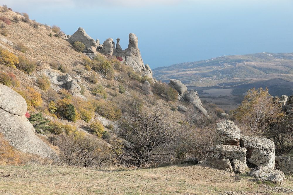 Фотография автора Алексей Попов