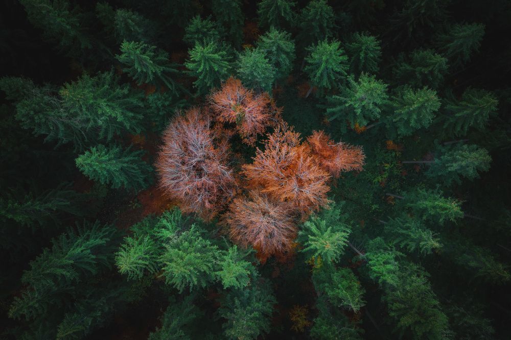 Фотография автора Emelyanov Alex