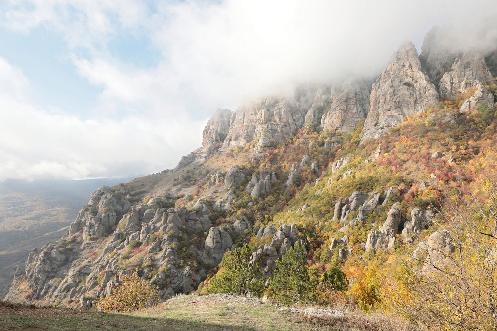 Фотография автора Алексей Попов