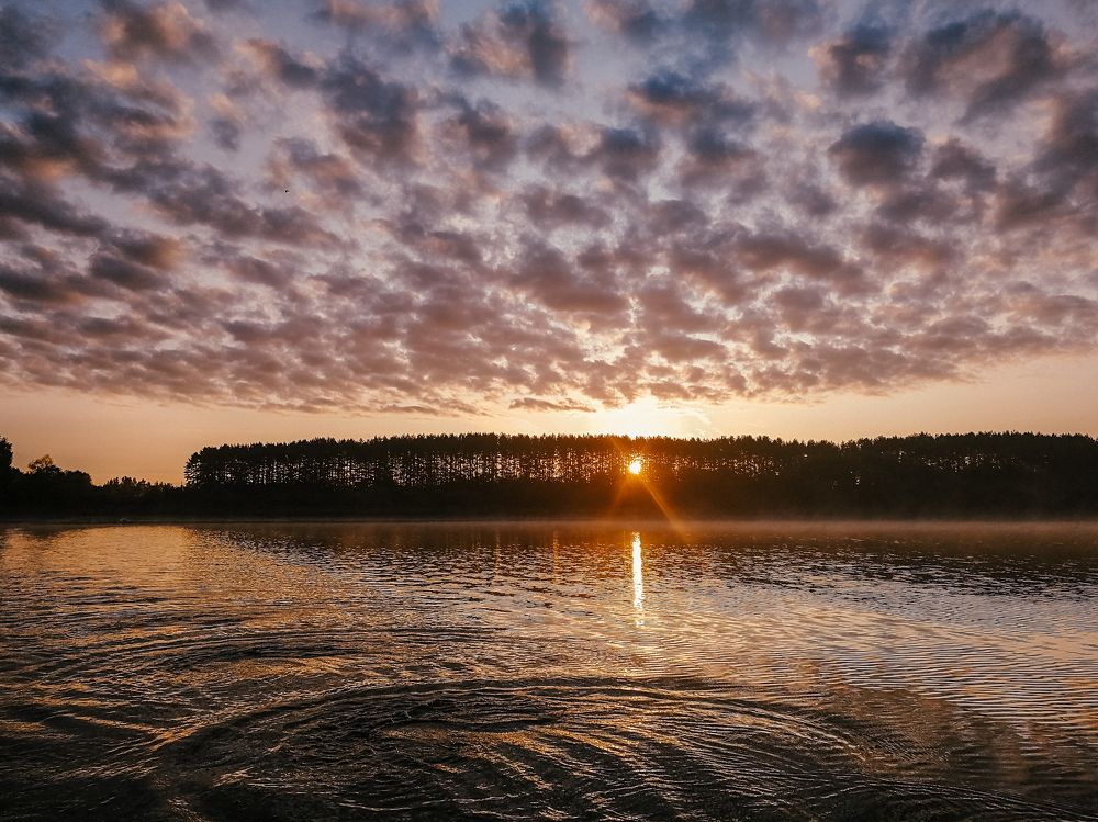Photograph by Анна Фрезе