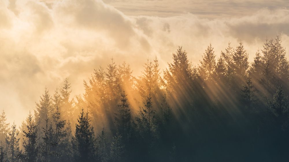 Photograph by Carlos André Silva Antunes