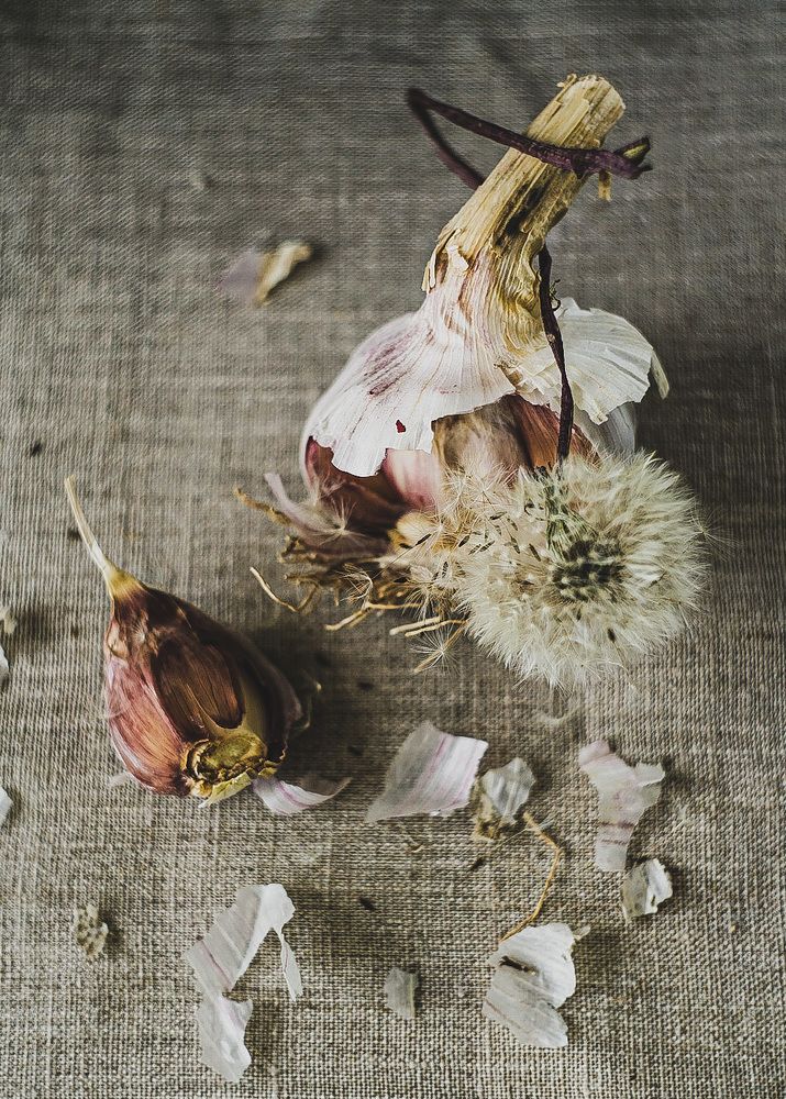 Фотография автора Алиса Чурчудесная