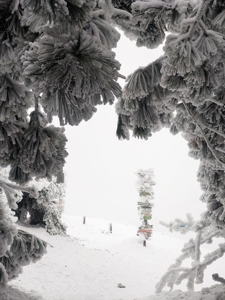 Photograph by Павел Сазанов