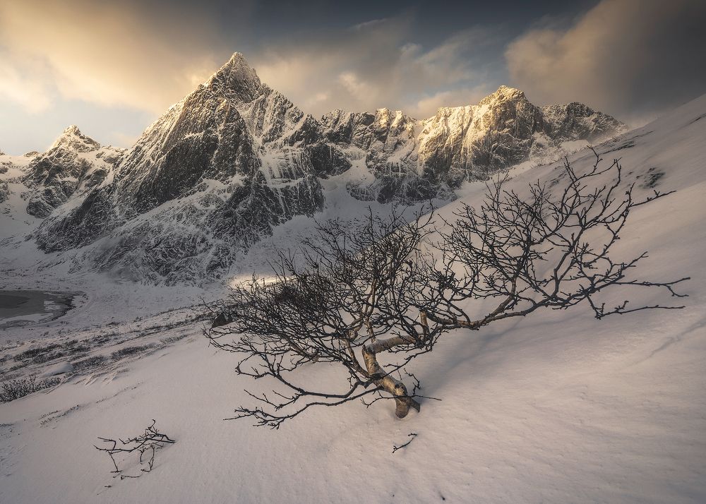 Photograph by Roksolyana Hilevych