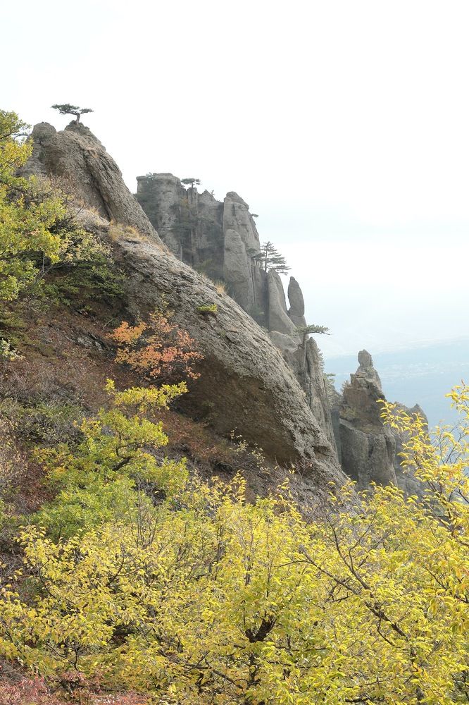 Фотография автора Алексей Попов