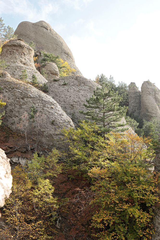 Фотография автора Алексей Попов