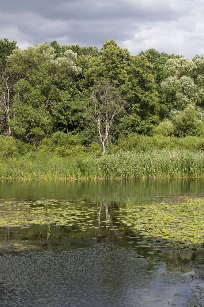 Photograph by Nataliia Nedelina