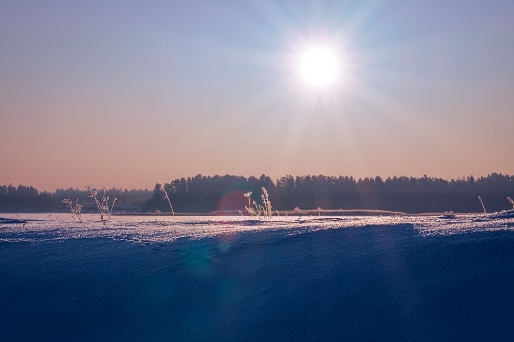 Под лучами солнца