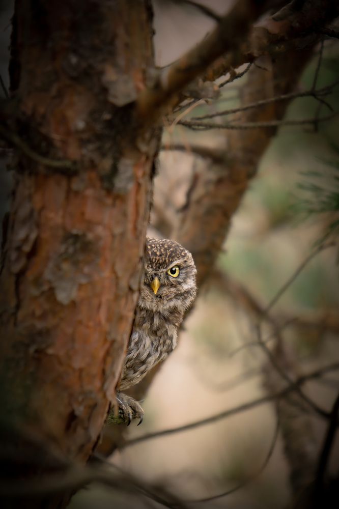 Photograph by Lucia Drietomska