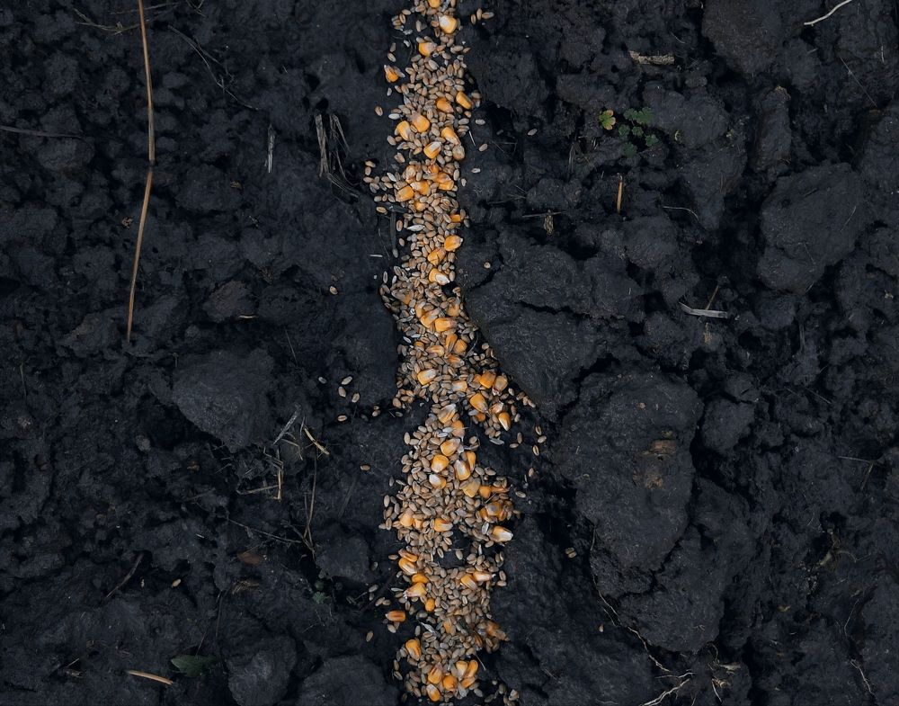 Photograph by Мар'яна