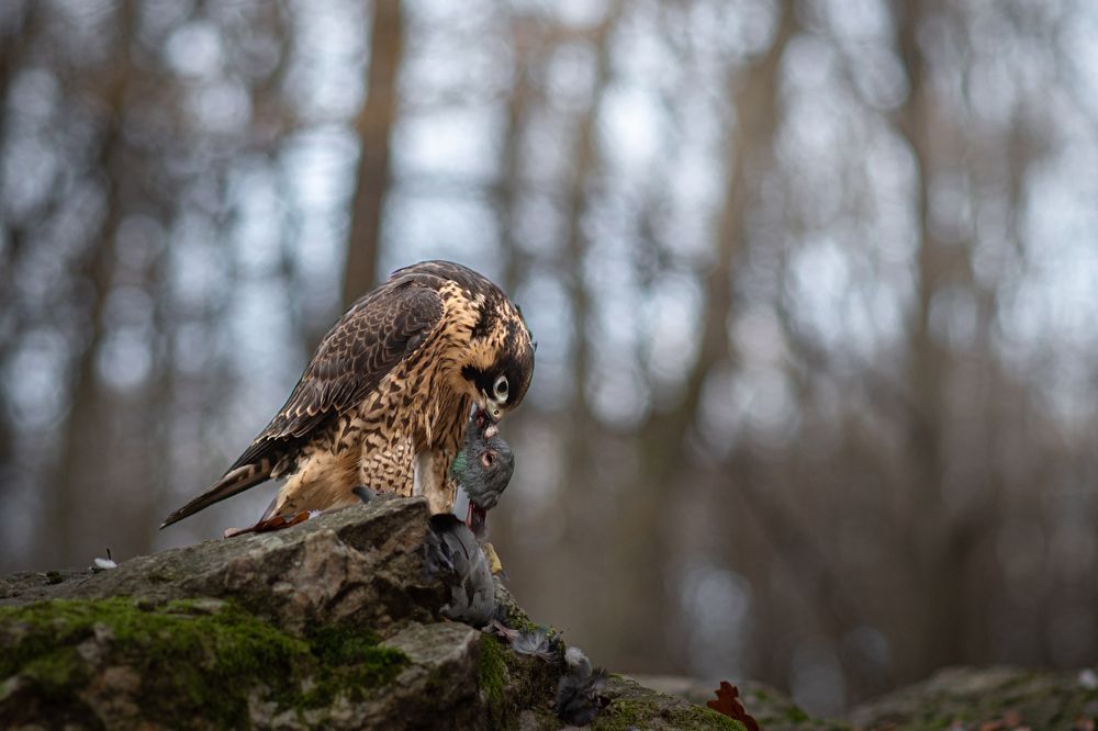 Photograph by Lucia Drietomska