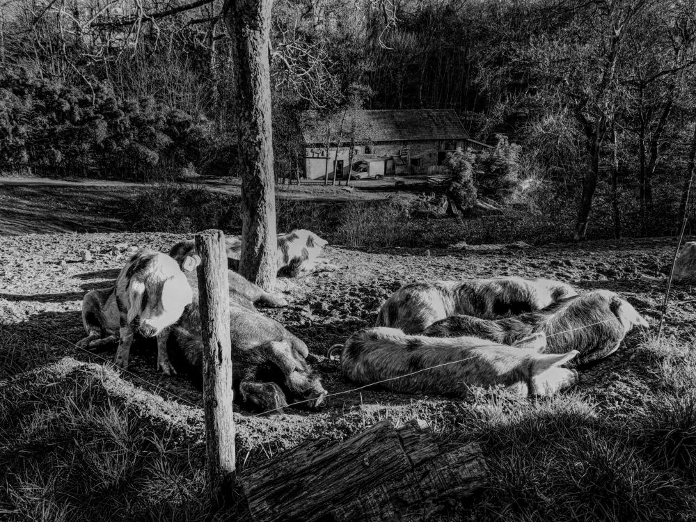 Photograph by Inna Burdikova