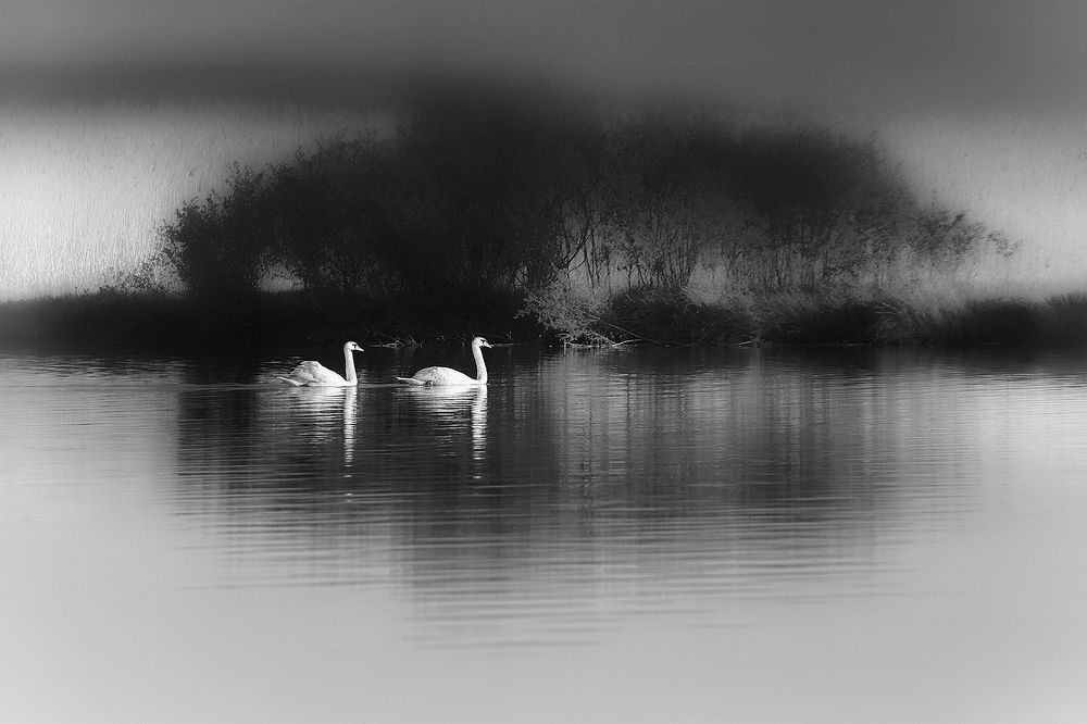 Photograph by Владимир Каюков