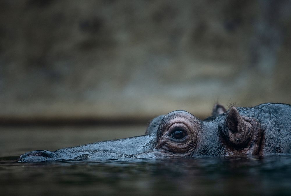 Photograph by Юлия Борт