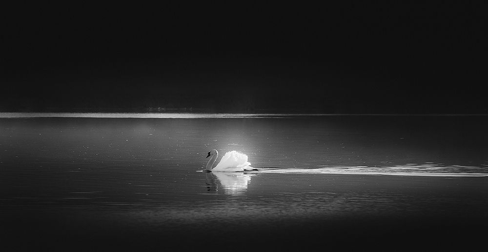 Photograph by Владимир Каюков