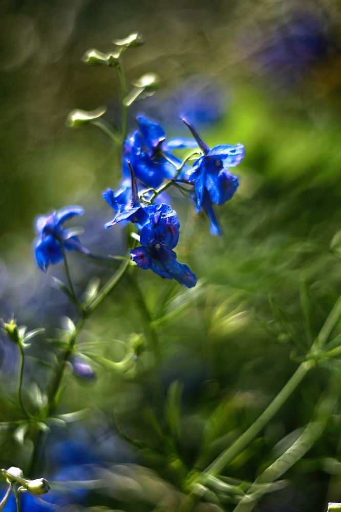 Photograph by Anna Suchcicka