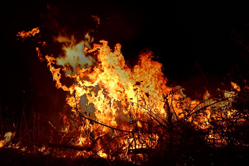 Фотография автора Алиса Чурчудесная