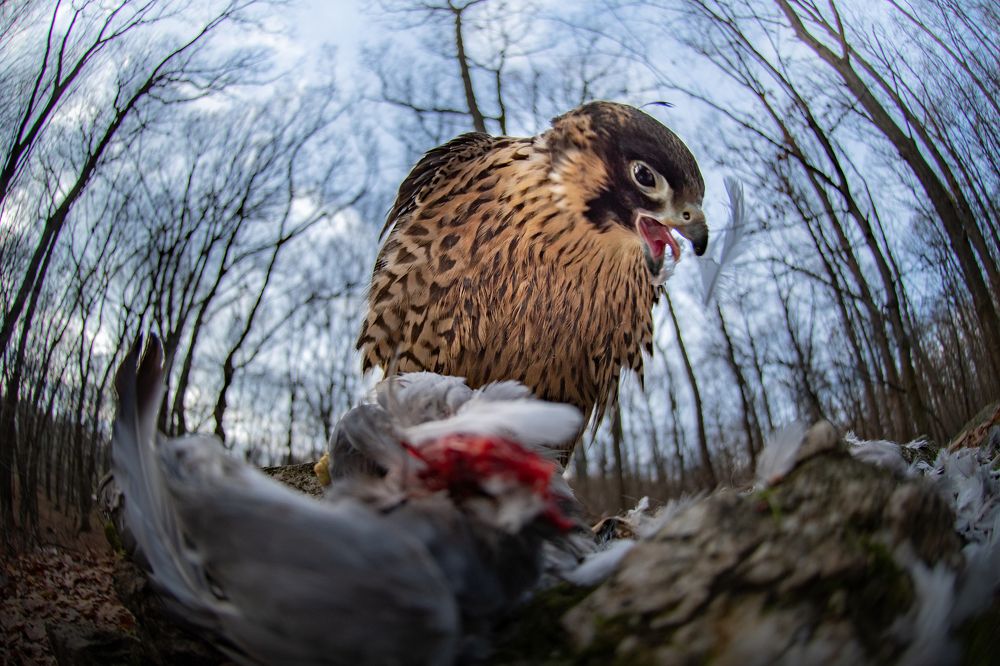 Photograph by Lucia Drietomska