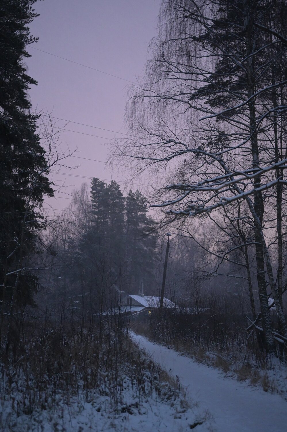 Fairy tale