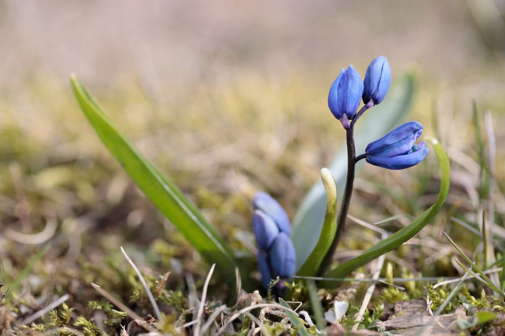 Фотография автора Алексей Попов