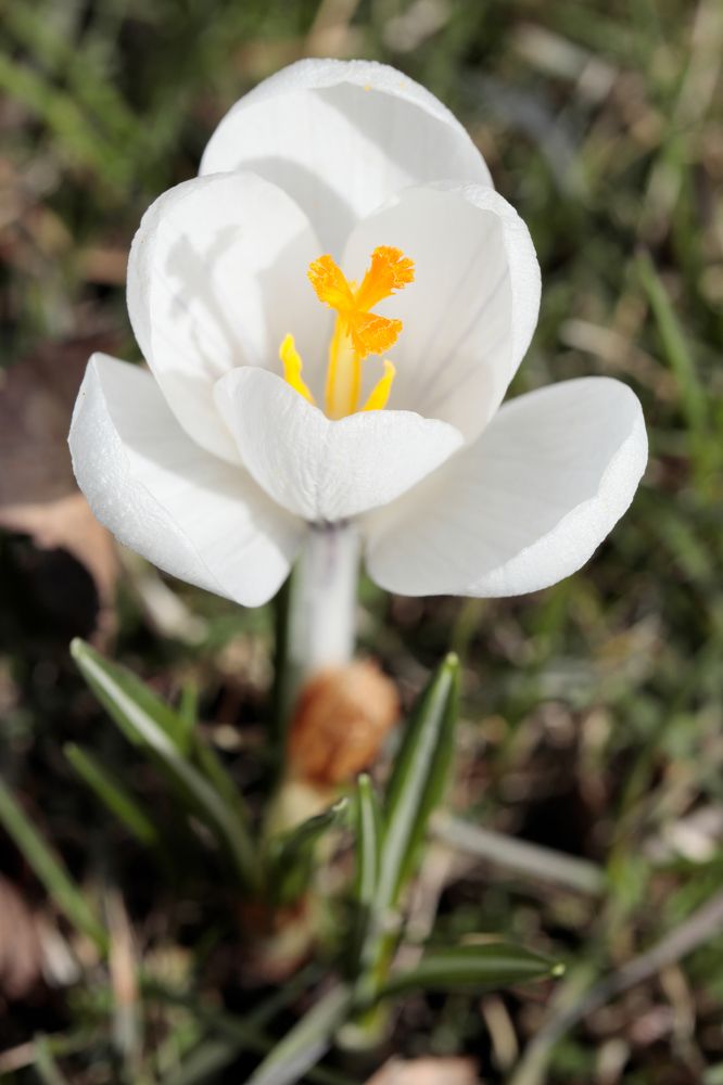 Фотография автора Алексей Попов