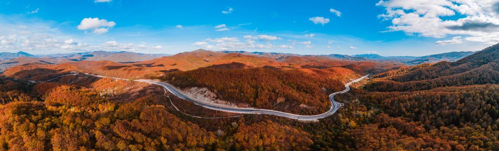 Photograph by Владимир Сараев