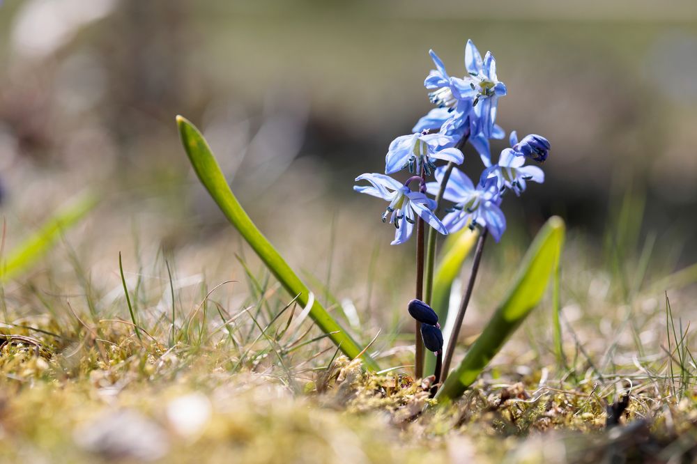 Фотография автора Алексей Попов