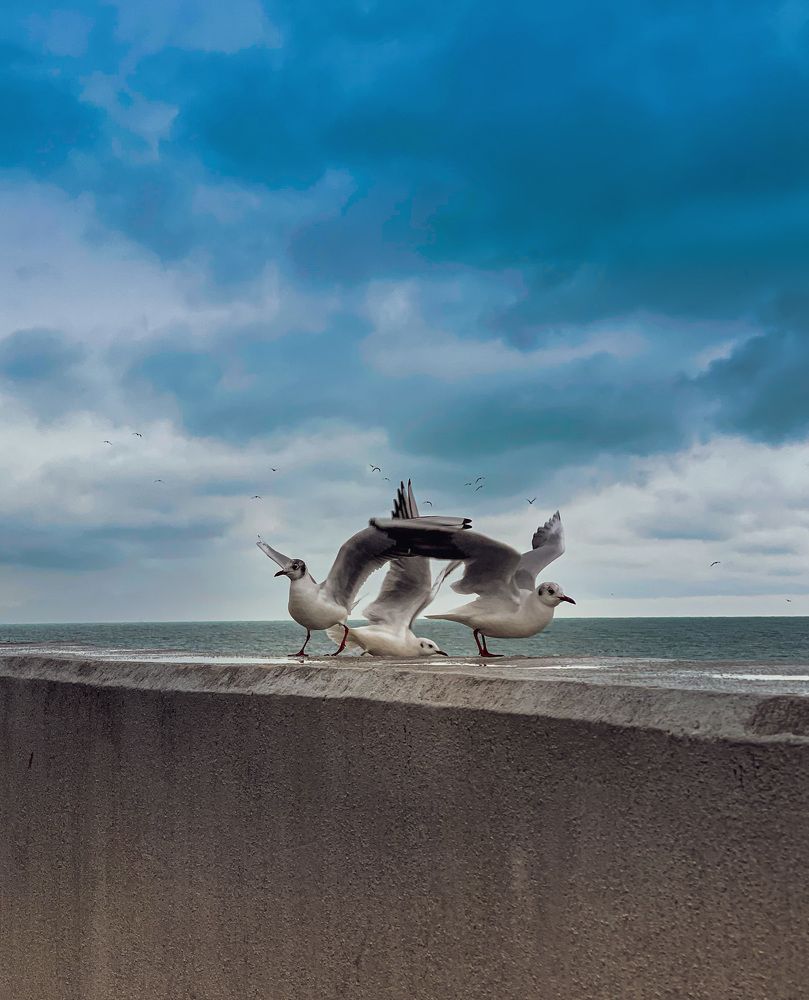 Фотография автора Алиса Чурчудесная