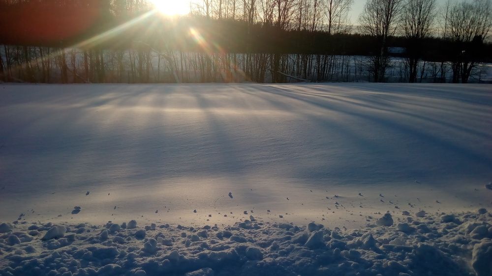 Photo #5901704