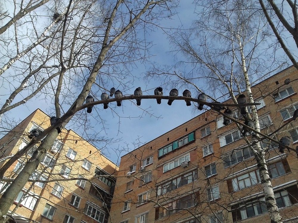 Фотография автора Владислава Андрюнина