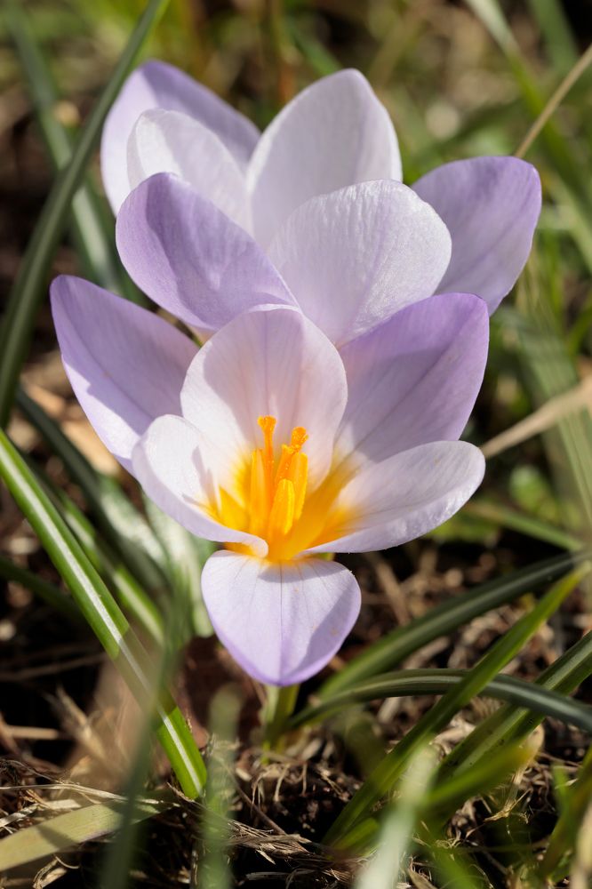 Фотография автора Алексей Попов