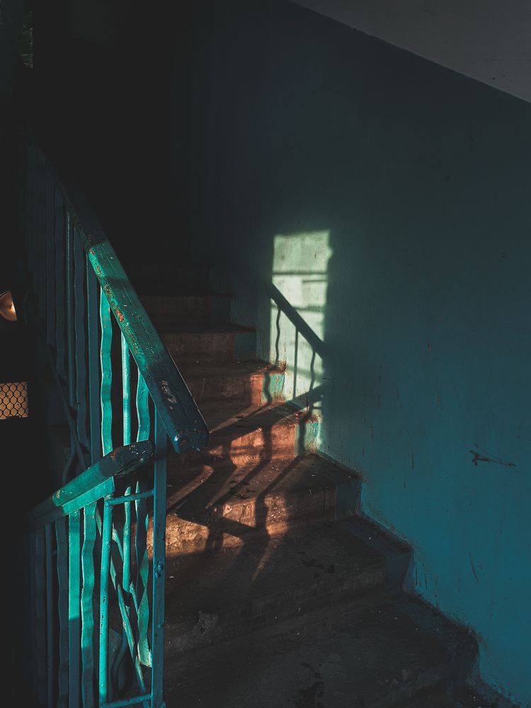Photo #5901732