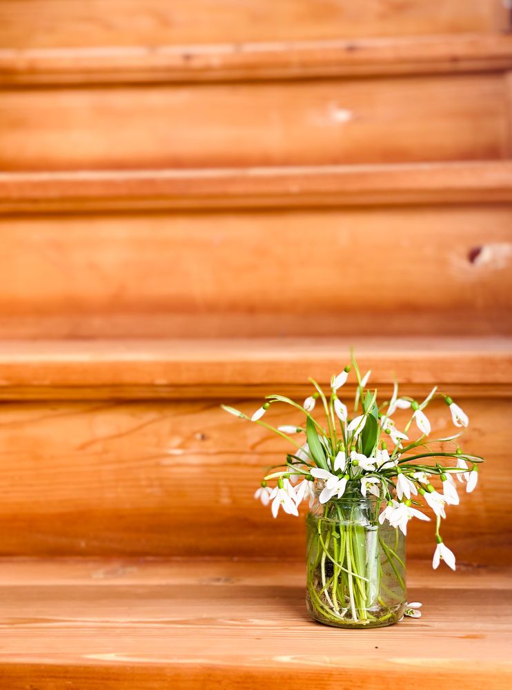 Фотография автора Алиса Чурчудесная