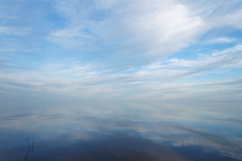 Фотография автора Ярослав Калегин